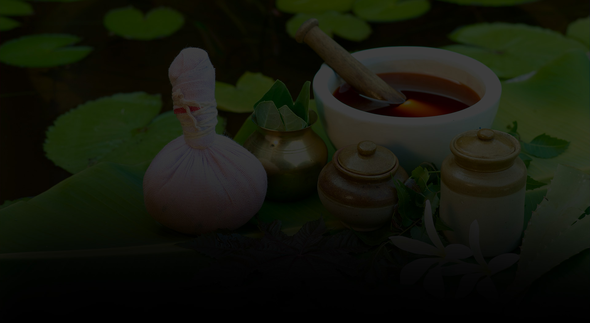 Kerala wellness & Ayurveda