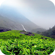 Kerala Hill Stations