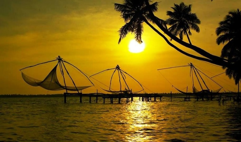 Kumbalangi Day Tour