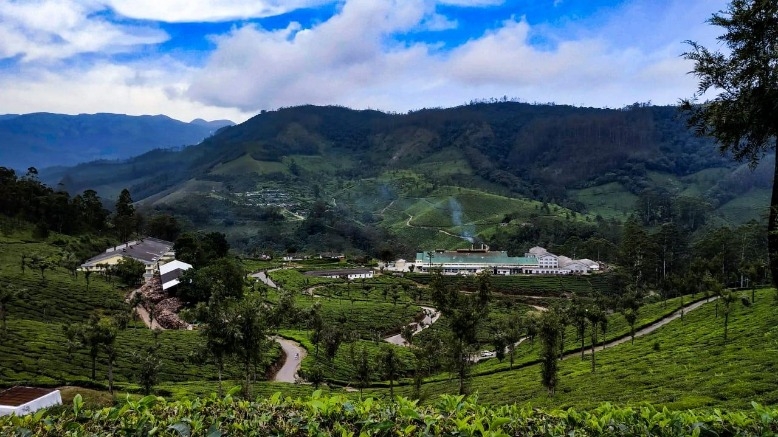 Kerala Hills, Beaches & Backwaters