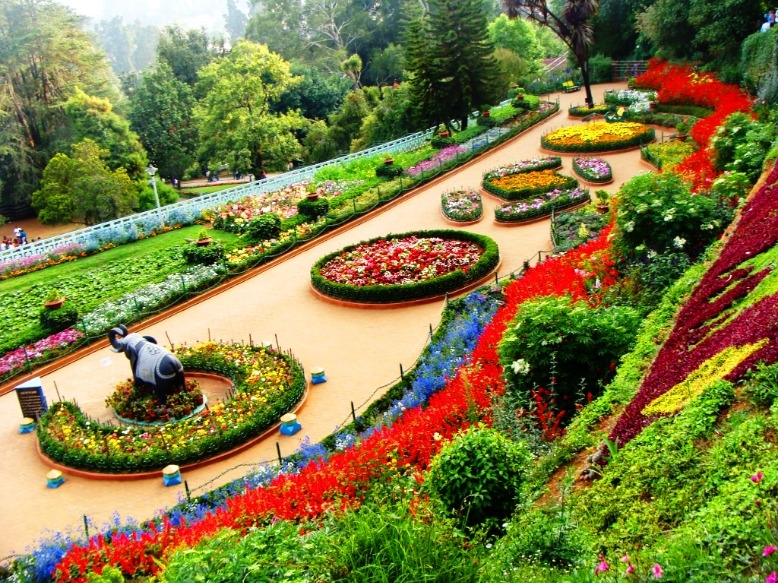Mysore & Ooty from Bangalore