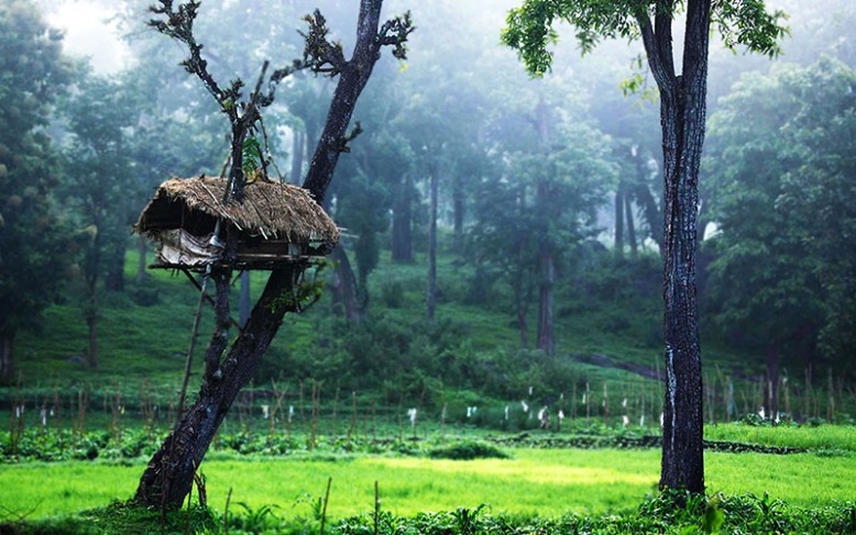 Ooty & Wayanad from Bangalore
