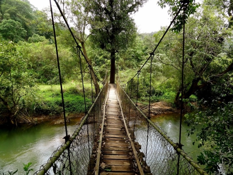Coorg & Wayanad from Bangalore