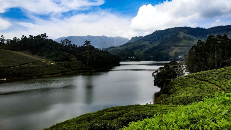 Munnar & Alleppey
