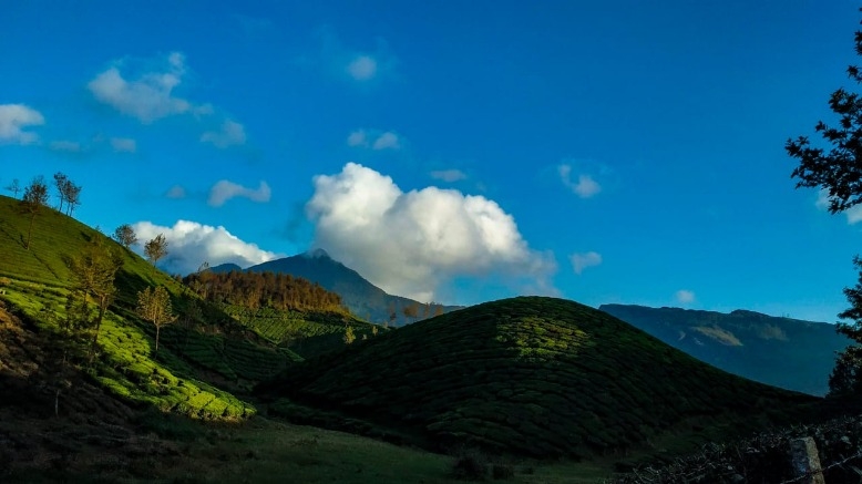 Munnar tour