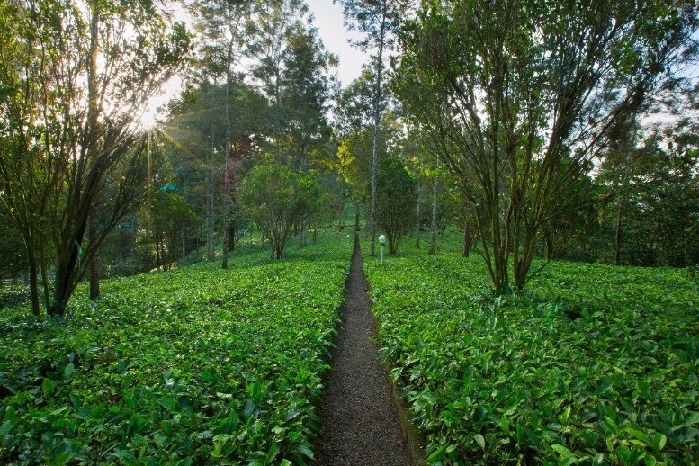 Kerala Holiday Tour