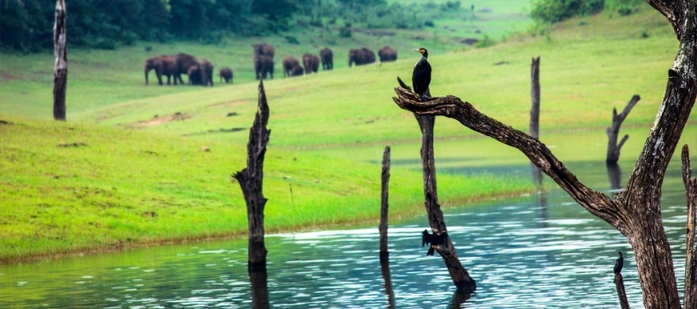 Kerala Tour