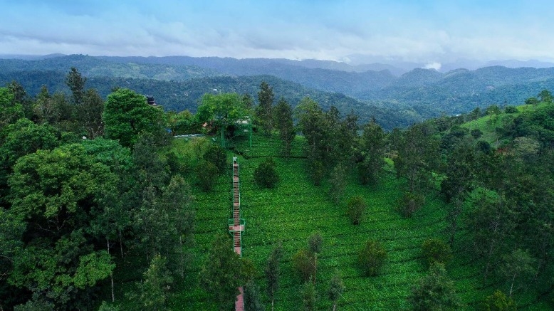 Kerala Luxury Tours