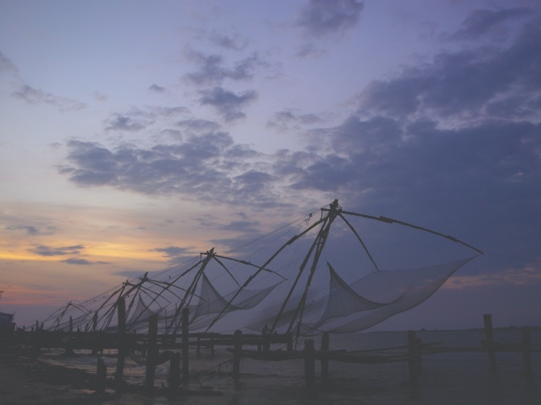 A Day with Queen of Arabian Sea