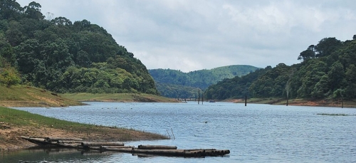 Munnar - Thekkady (120km/3hrs)
