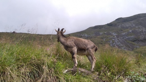 Munnar