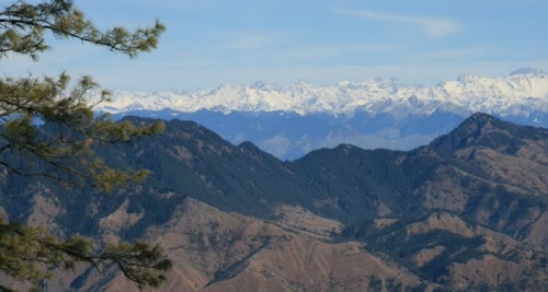 Delhi - Shimla (350 Km/ 08 Hrs)