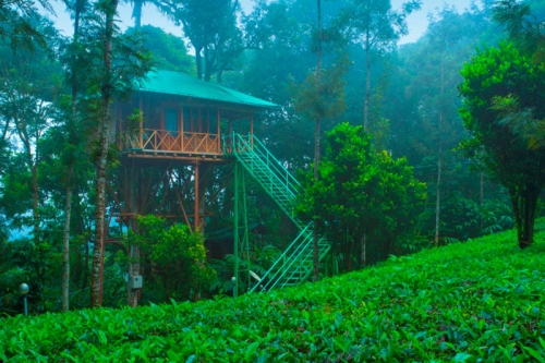 Cochin - Munnar (130km/4.30hrs)