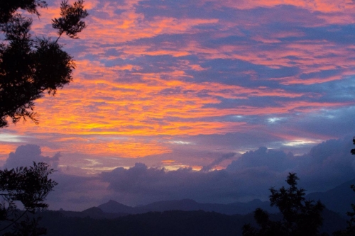 Munnar