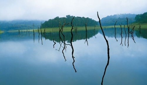 Munnar - Thekkady (120km-3hrs)
