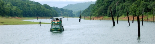 Munnar - Thekkady  (120km/ 3hrs)