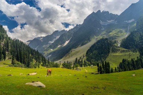 Srinagar -Sonamarg (80 Km/ 2.30 Hrs)