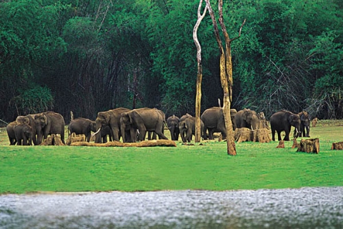 Munnar - Thekkady (130km/3hrs)