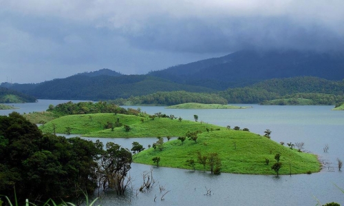 Ooty-Wayanad (120Km/3.30 Hrs)