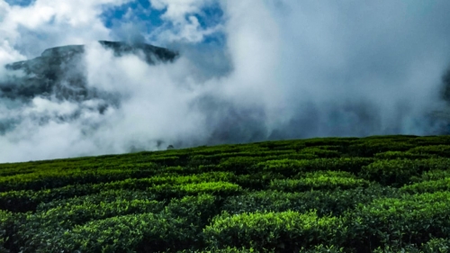 Munnar
