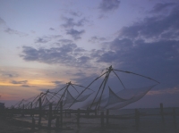 A Day with Queen of Arabian Sea