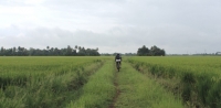 Kuttanad - Guided Cycle Tour/ Moderate