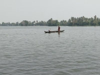 Kuttanad - Guided Cycle Tour/ Moderate